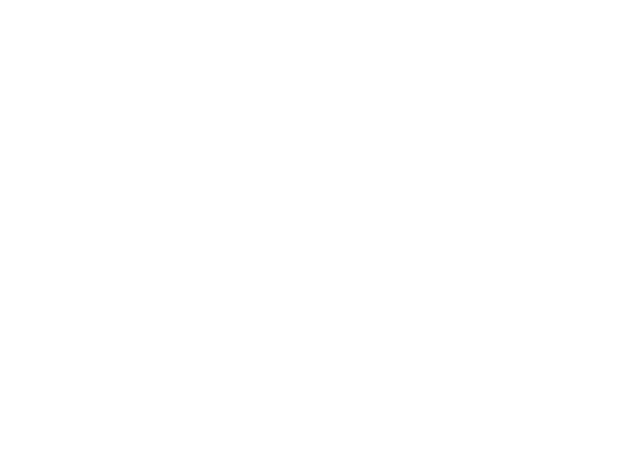 NEXT CEO